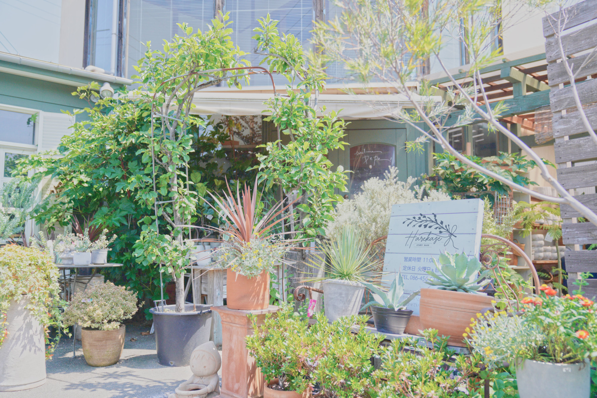 ネット注文OK！】STARTのお花屋さんがOPENしました！ - START OFFICIAL