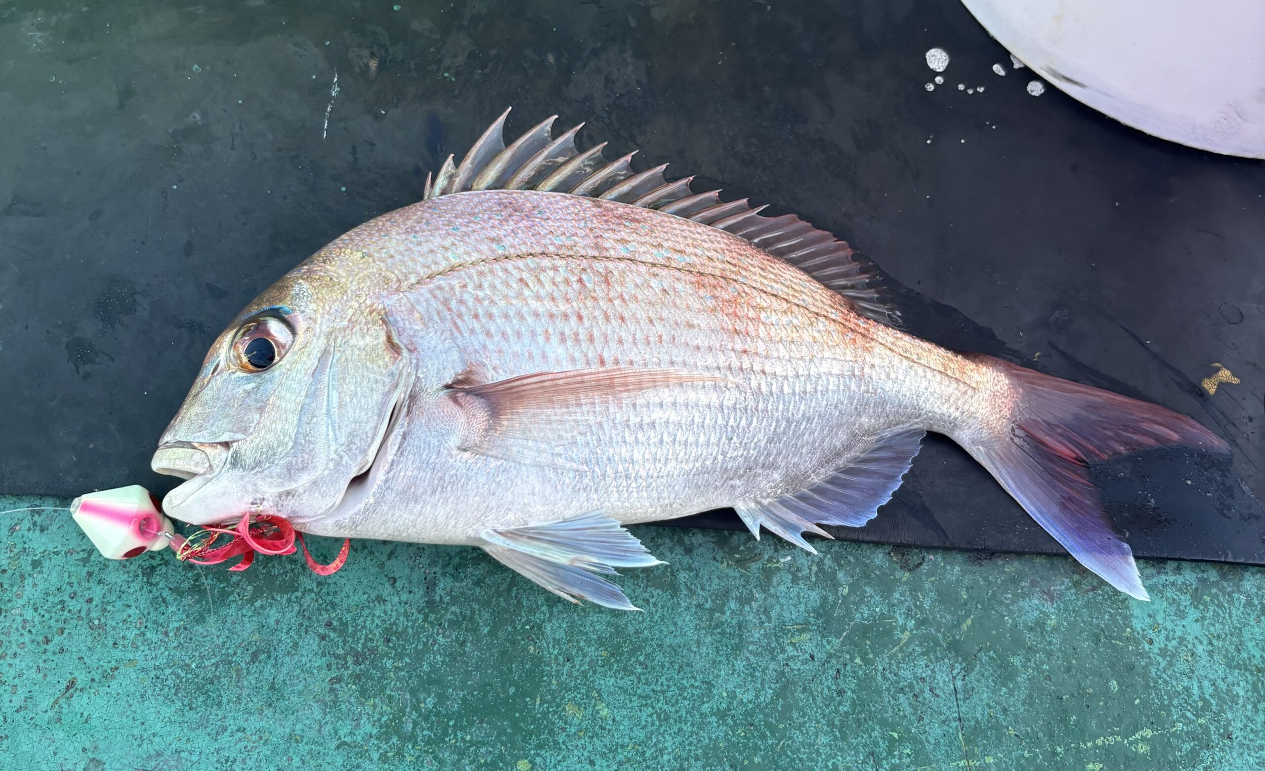 ドラバラ 6巻 他全9本 まとめ売り YGK YGK・よつあみ XBRAID フルドラグX8 300m 2,2.5,3,4号 45,50